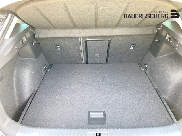 Cupra Formentor 1.5TSI DSG AUTOM PARKLENK V+H 360 TOPVIEW KAMERA SITZHZ NAVI ALARM VERKEHRSZ AMBIENTLIGHT