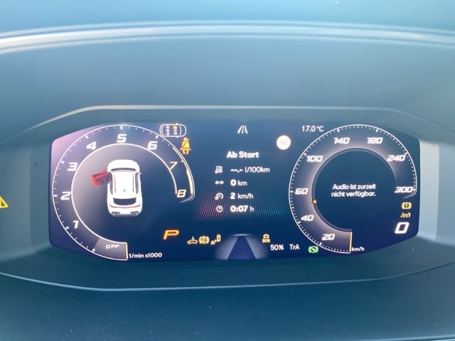 Cupra Formentor VZ 2.0 TSI 245 kW (333PS ) 4Drive AHK HED Matrix Navi Rückfahrk.