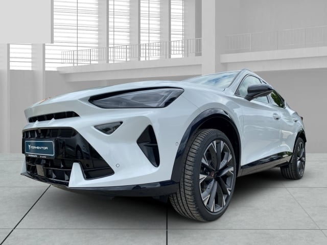 Cupra Formentor VZ 2.0 TSI 195 kW/265PS LED I Sitzh.I 19''Alus I Lederlenkrd beh.