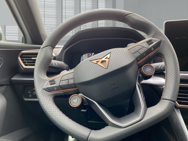 Cupra Formentor VZ 2.0 TSI 195 kW/265PS LED I Sitzh.I 19''Alus I Lederlenkrd beh.