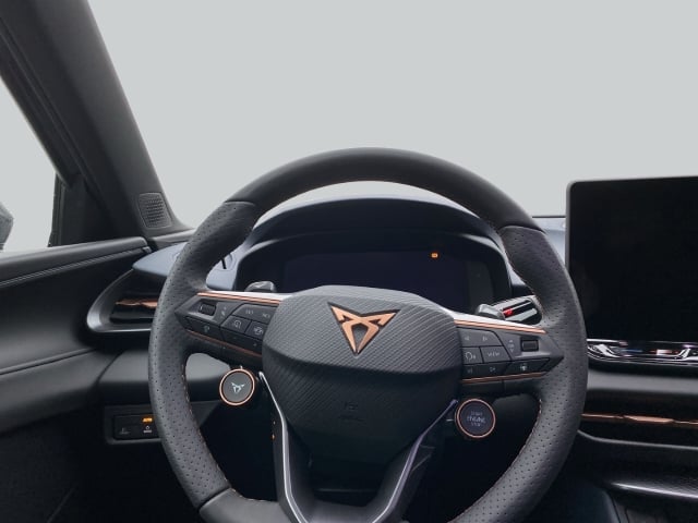 Cupra Terramar 1.5 ETSI 110 KW  150 PS Ganzjahresreifen Sitzh. PDC vo + hi